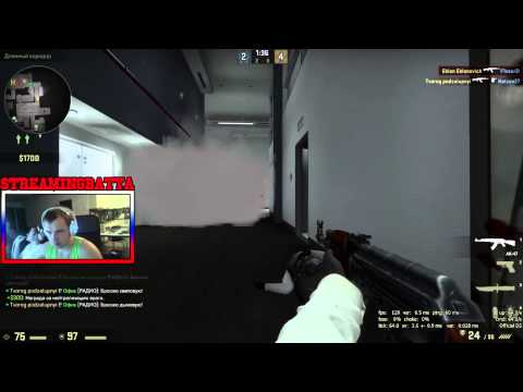 StreamingBatya Flashbang kill