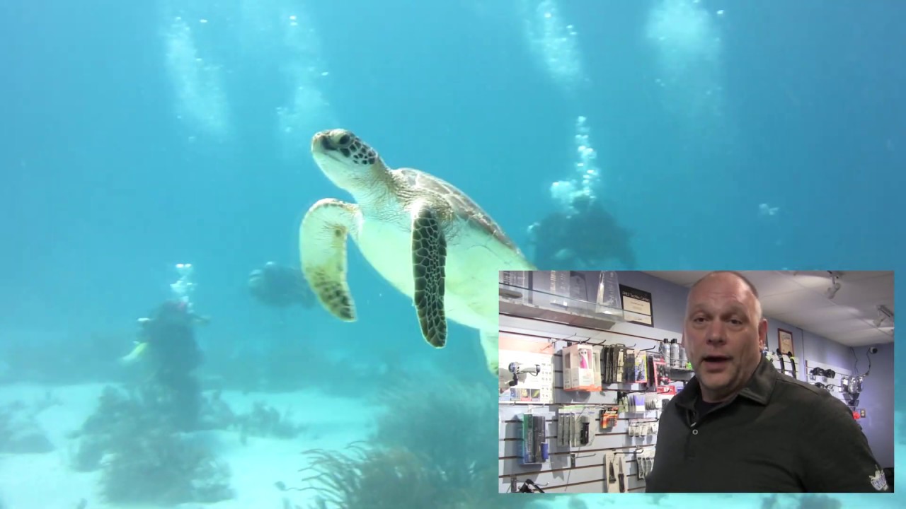 Canadian Scuba Dive Centres YouTube