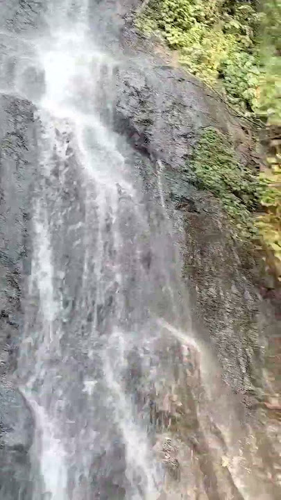 Suara Air Terjun Curug Cilember #waterfall #airterjun #indonesia
