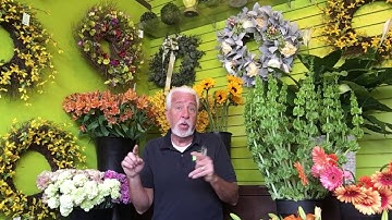 The Elements of Floral Design  Lesson #2  FORM