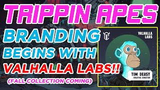 Download lagu 🌀Valhalla Labs brings Top Tier Branding to Trippin Ape Tribe🌀 (Tim Deasy, Creative Director)