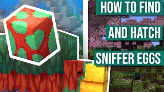 How to Find and Hatch Sniffer Eggs | Minecraft 1.20