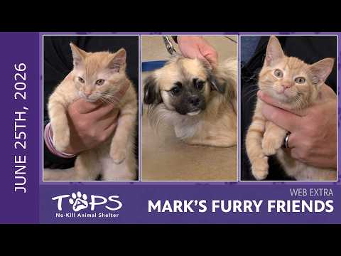 6/25/2026 | Woody, Bo Peep and Remi | Mark's Furry Friends Extra