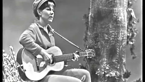 "I'm a Stranger Here" performed by Tracy Newman in...