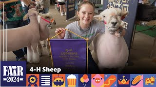 4-H Sheep Fair 2024
