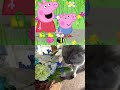 【Learns About Nature! 🌷】#shorts