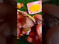 Oddly Satisfying Crunch #asmr #satisfying #chocolate