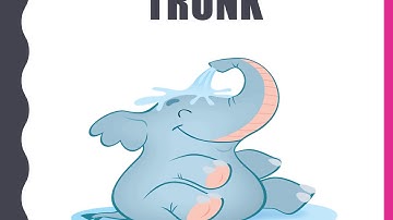 English - Primary 2 -Connect plus vocabulary -unit 9- where is it from? - part 1