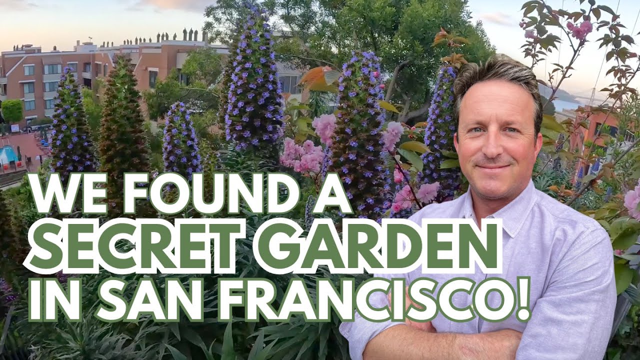 We Found a Hidden Garden Path in San Francisco!