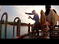 SQUID FISHING - The SQUID Are Everywhere!!!