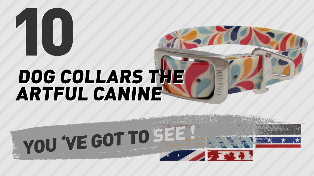 cats inn Dog Collars The Artful Canine // Top 10 Most Popular