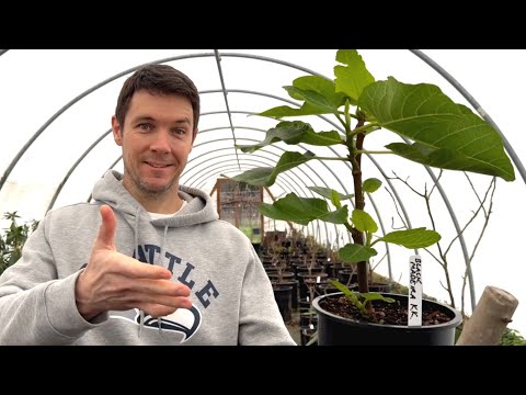 Stop Killing Your Rooted Cuttings!