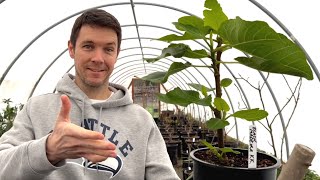 Stop Killing Your Rooted Cuttings!