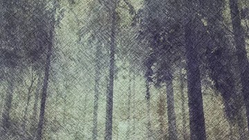 towards the woods - Korg MS10, MS20 and Crave