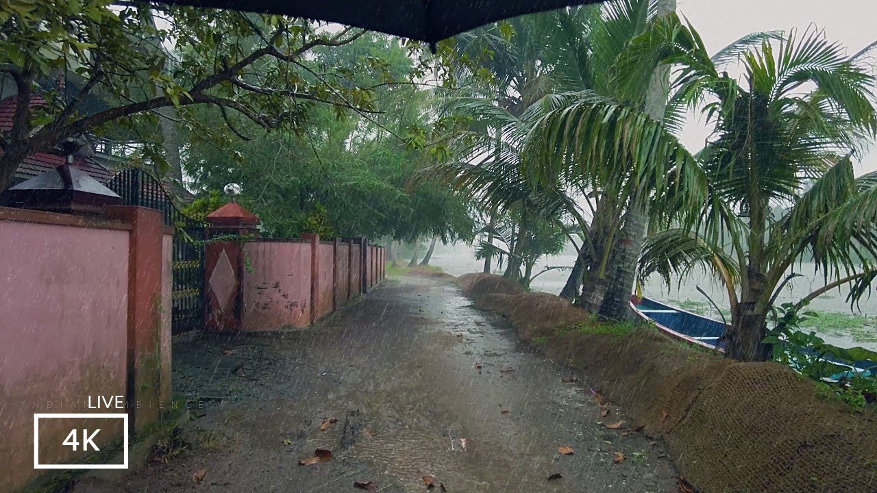 Rainy day in a green lush village in India | Rain sounds for sleeping | Our Rain Walks Compilation