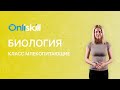 Биология 7 класс: Класс Млекопитающие