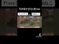 【荒野行動】長すぎて草#荒野行動#knivesout #Flora#kopl