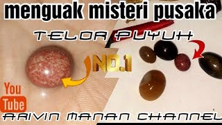 MENGUAK MISTERI MUSTIKA TELUR PUYUH