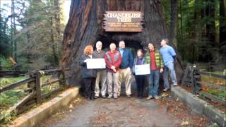 Drive Thru Tree -- Leggett CA,  Chandelier Drive Through  Redwood park  Tree