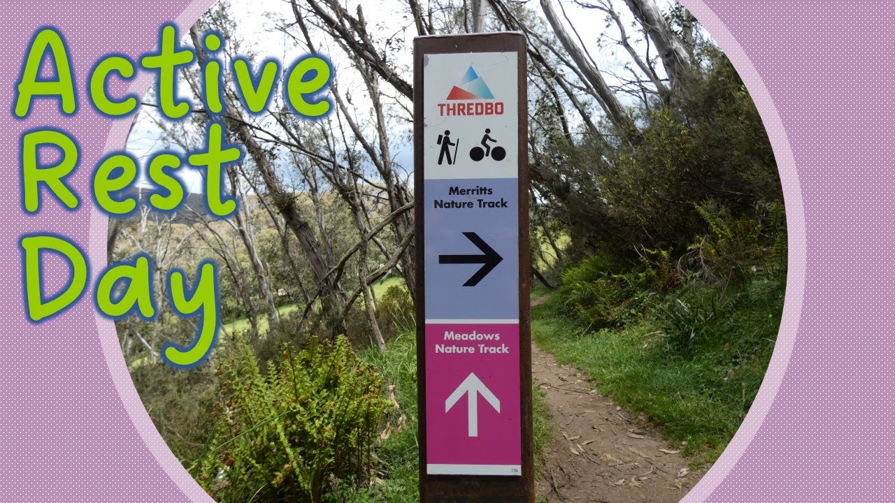 Lower half of  the Merritt's Nature Track - Thredbo - A short hike