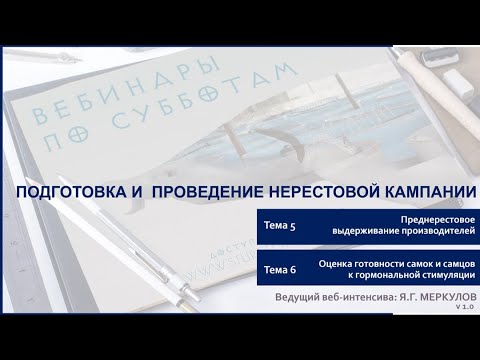 Тема 5-6. Преднерестовое выдерживание производителей осетровых и оценка готовности к нересту