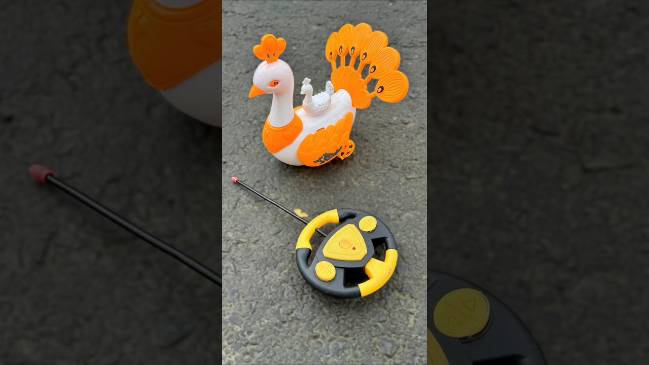 Single 1 Ta Murgi Na Remote Control Peacock 🦚ki Unboxing🤑