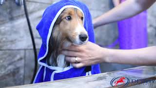 Derby Originals Ultra Flex Plush Microfiber Dog Bathrobe