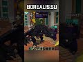Как Приручить ДРАКОНА? Мод на Драконов в Майнкрафт! #minecraft  #borealis #mods