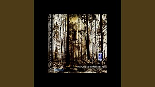 Fusion Age Rhythms: Nature Is Watching You