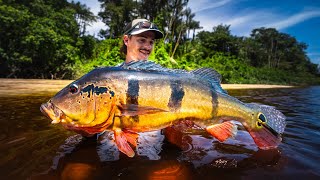 I Finally Caught My Dream Peacock Bass in the Amazon