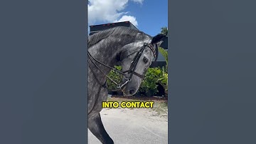 Get your horse curved into contact as a beginner (part 3) #equestriantips #horseriding #horsegirl