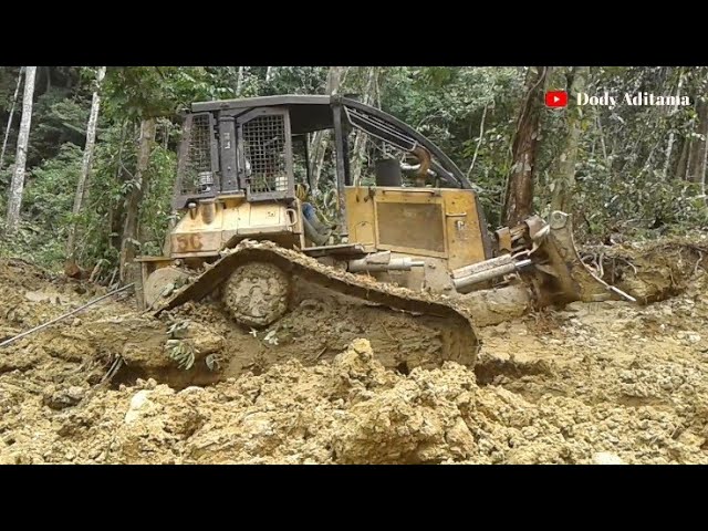Qattiq femdom brending va kaltaklash Men uni yaladim va u yuzimga keldi.