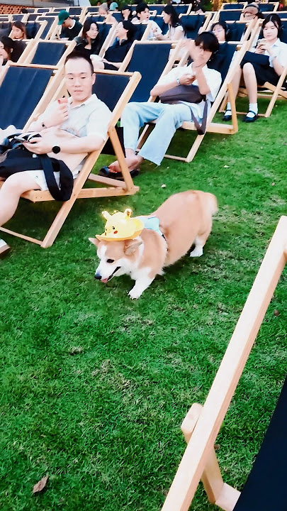 🐕 // Protect your data and stream content anywhere with Proton VPN https://go.getproton.me/SH1XZ
