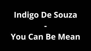 Indigo De Souza - You Can Be Mean (Lyrics)