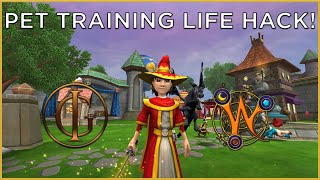 Wizard101: UNDERRATED Pet Training HACK.