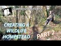 Wildlife Homestead Part 2 - Bringing a woodland back to life