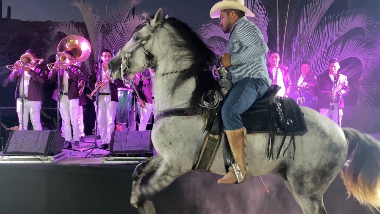 Banda NB La Cuichi YouTube banda-nb-la-cuichi-youtube