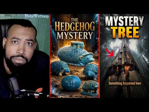 Mysterious Videos That Broke My Understanding!