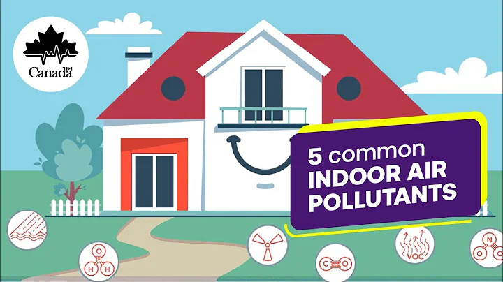 Improving air quality in your home: Mould, carbon monoxide, VOCs and more
