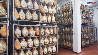 Elaboración jamón - Secadero Natural: #QuédateEnCasaConJamónLovers ️