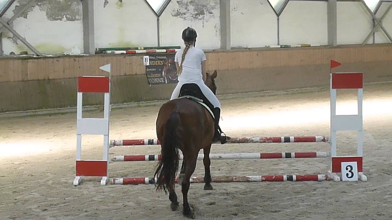 brązowa odznaka jeździecka-skoki przez przeszkody