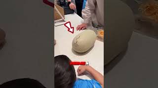 Ce garçon aide un bébé dinosaure à éclore en plein supermarché !😮