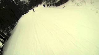 Loon Trip