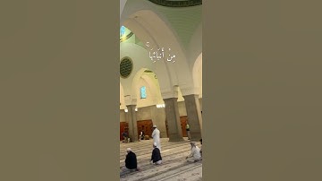 راحة نفسية 🤍آيات مرتلة للشيخ / #محمد_عبادة#قران_كريم#لايك#اكسبلور#تلاوة_خاشعة#دويتو#تيك_توك