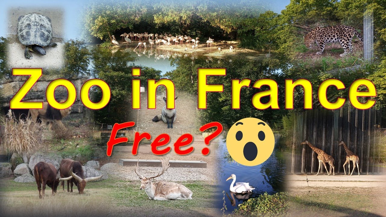 Zoo in France | Lyon Zoo | Zoo in parc de la Tête d'Or | Free zoo in France