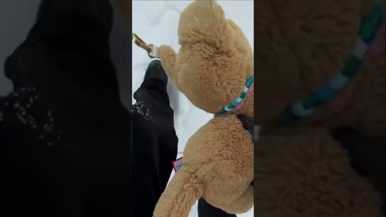 Go out in the snow with me!  *̣̥☆&middot;͙̥❄‧̩̥࿌ིྀ྇˟͙☃️˟͙࿌ིྀ྇‧̩̥❄&middot;͙̥̣☆*̣̥ #snowmountain