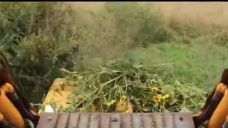 Skid Steer Bush Hogging 8-12 Tall Brush