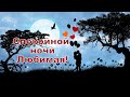 Спокойной ночи, Любимая!