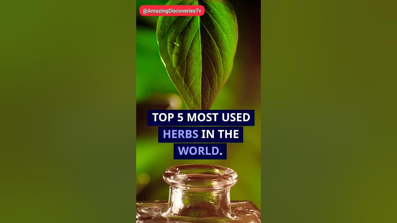 World s Top 5 Most Used Herbs facts reels viral usa vlog vlog most-used-words-of-2023-by-me-viral-videos-clips-2023-2023