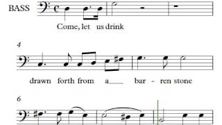 Pascha Canon Ode 3 Vedel BASS